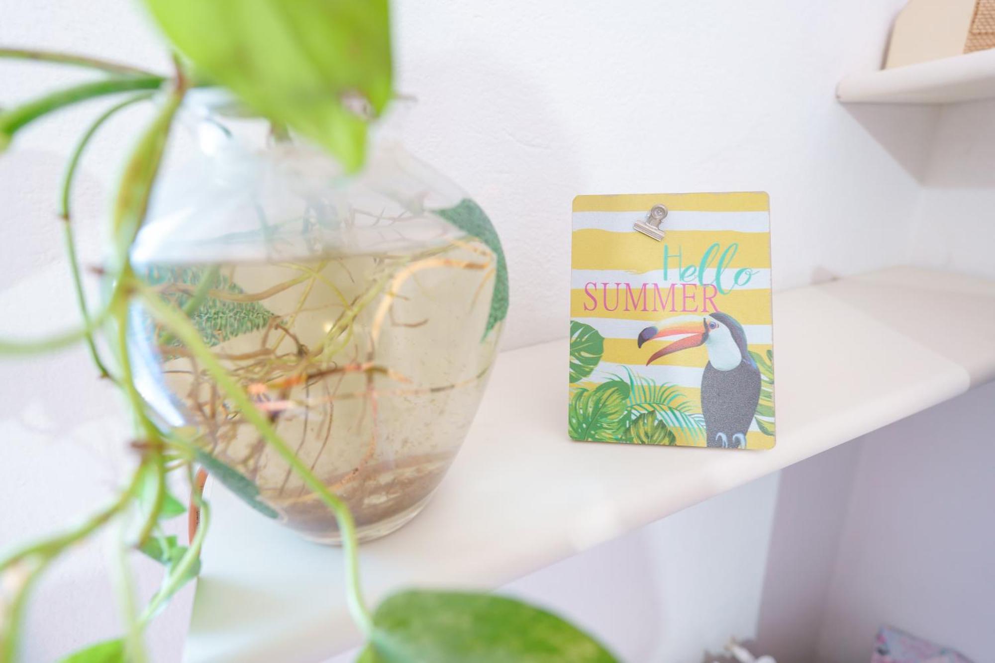 Pothos - Eng Ita - Air Conditioning Wi-fi Fridge Netflix Local Guide - Aria Condizionata, Frigo, Internet, Guida Locale Cagliari